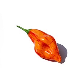 Aji Tangerine Tiger Striped Stripey Bacon Heirloom Pepper Premium Seed Packet