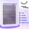 ALICE Natural Lash Clusters Wispy Lash Extensions Short 10-14mm DIY