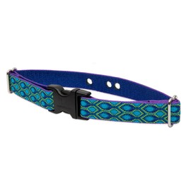 LupinePet Originals 1" Rain Song 12-17" Containment Collar Strap for Medium Dogs
