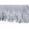 CANVAS ON DEMAND Snow Covered Pine Trees Wall Decal, Forest