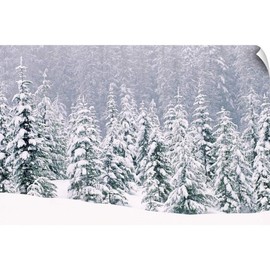 CANVAS ON DEMAND Snow Covered Pine Trees Wall Decal, Forest Artwork