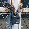 MASTER LOCK Heavy Duty Weatherproof Padlock [CEN Insurance Approved] [Closed