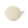 Pack of 1 x Earth Therapeutics Exfoliating Body Sponge -