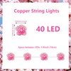 Curyidy Cherry Blossom Vines Fairy Lights, 40 LED Flower String