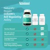 VIFADIMED Colon for Diarrhea, IBS-D,Colitis, Soothes Irritation,Enhances Colon's Function. Intestine