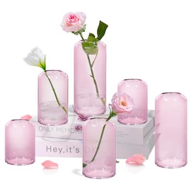 ZENS Bud Vases Set of 6, Pink Clear Small Glass Vase for Flowers. Modern Hand Blown Cylinder Glass Vase for Wedding Reception Centerpieces Living Room Decorative.