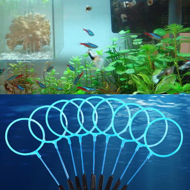 10Pcs Shrimp Nets Small Fishing Nets Aquarium Catcher Nets Plastic