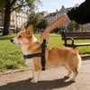 Annchwool No Pull Dog Harness with Front Clip and Easy