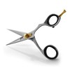 BRV MEN Professional Mustache & Beard Trimming Scissors - 5.5"
