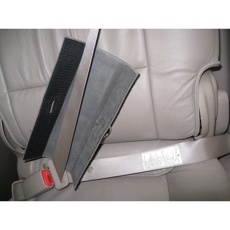 PawRider Tether Pet Leash, Black