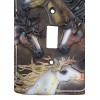 Ebros Gift Set of 2 Western Rustic 4 Colorful Wild