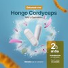 Lungs Blend de 180 Cápsulas. Ingredientes naturales: Cordyceps, NAC, Echinacea,