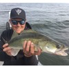 K.P Baits Skeleton Shad Rubber Fish, 3 Inches / 7.5