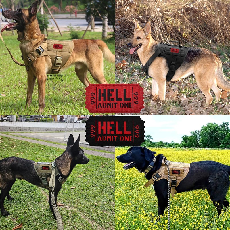 2 Pcs Funny Hook and Loop Patch - Hell Admit