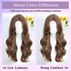 Brown Highlight Lace Front Wig 24 Inch Long Wavy Synthetic
