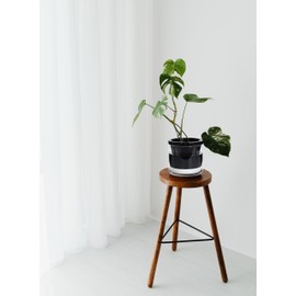 D'vine Dev 8 Inch Design Self Watering Planter for Indoor Plants, Black Terracotta Pot with Cylinder Glass Cup, Set of 1, 374-C-1