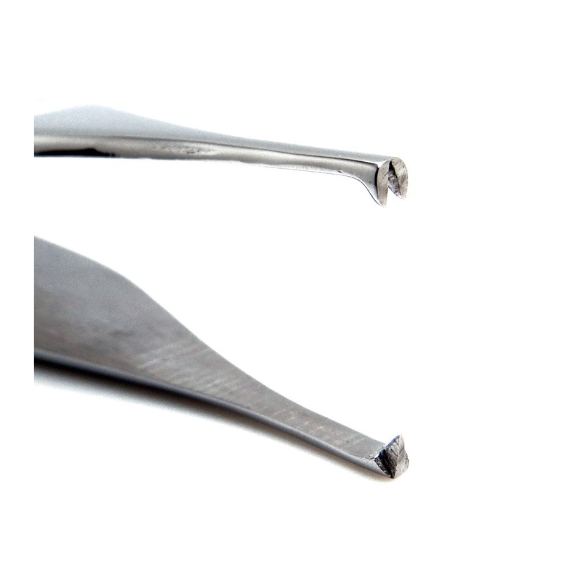 Adson Kocher Dressing Tweezer 12cm 1x2 Rat Tooth Dental Cotton