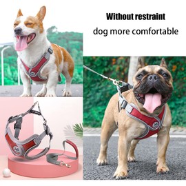 SKXEO Dog Harness Small Dog No Pull Dog Harness and Lead Set Adjustable Breathable Reflective Lightweight Pet Vest Harness Escape Proof Dog Harness Easy Control for Outdoor Walking Training