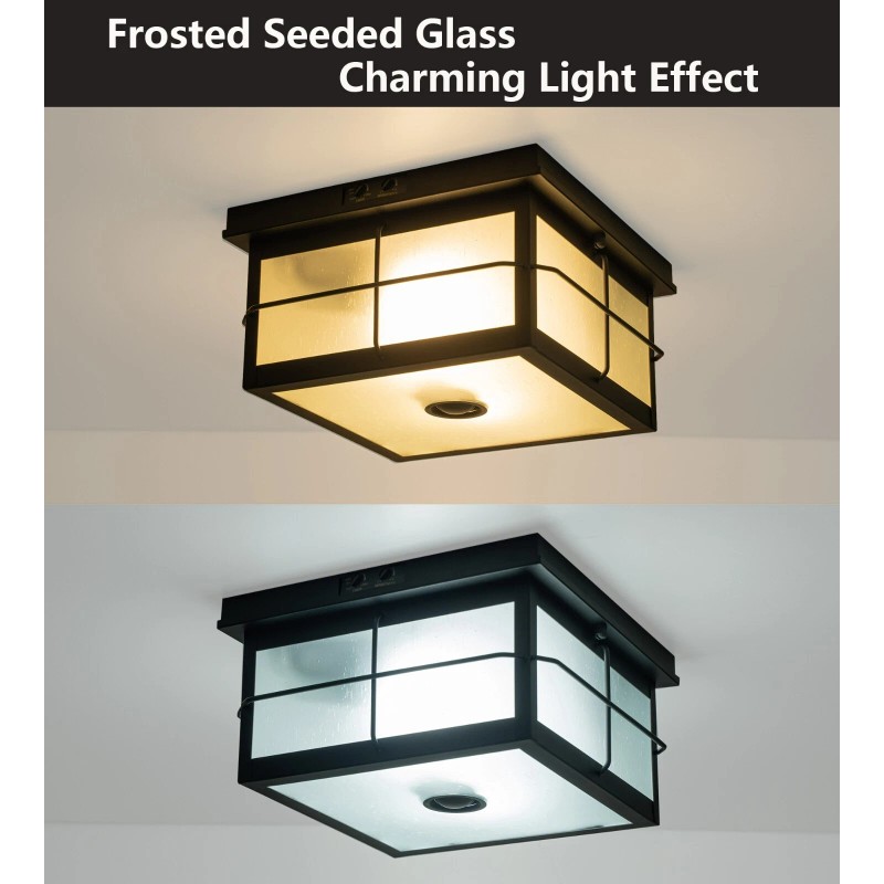 FTL Motion Sensor Outdoor Ceiling Light 2-Lights Flush Mount Ceiling