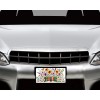 Twisted R Design Books and Wildflowers Aluminum Front License Plate