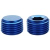 Podavelle 1/2 NPT Male Thread Allen Head Socket Pipe Plug