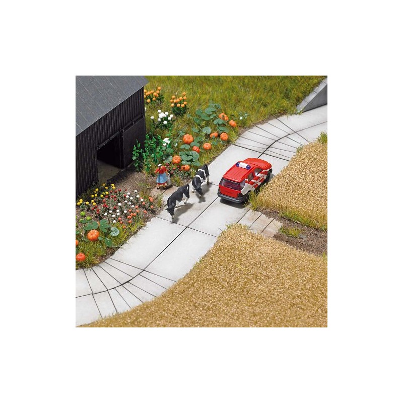 Concrete Slab Roadway N