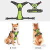 PoyPet No Pull Dog Harness, No Choke Front Clip Dog