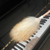 Sheep's Wool Dusting Cloth with Solid Wood Handle and Lanyard,