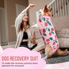 Nasjac Recovery Suit for Dogs - Zipper on Recovery Suit