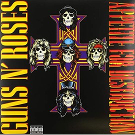 Appetite For Destruction [VINYL]