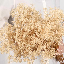 Dried Babys Breath Flowers Bouquet-17 Inch 5000+ Ivory White Dry Flowers, Natural Gypsophila Branches for Wedding, Table Vase Decor, DIY Wreath Floral, Home Office Party Garden Decoration (6OZ)