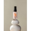 Touch Insole No Pore Bloom Hybrid Primer 30ml / 터치인솔