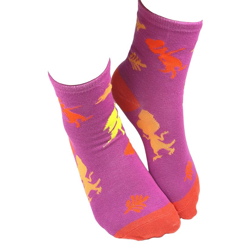 Dinosaur Train Girls Fun Shiny Silly Crazy Dinosaur Kids' Socks