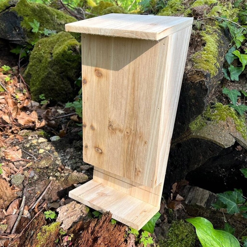 Selections Wooden Bat Box with Landing Perch