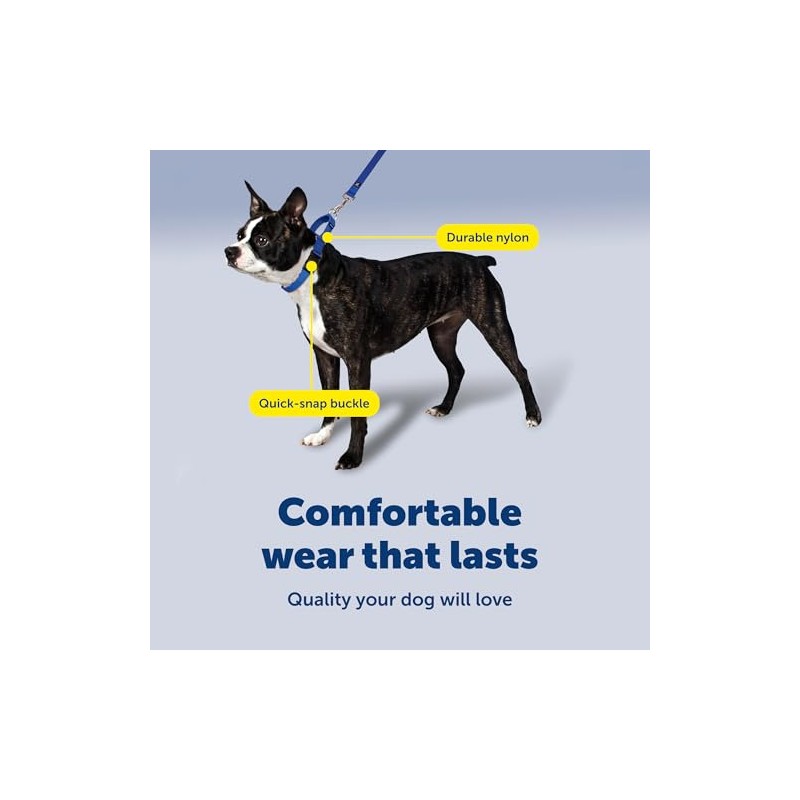 PetSafe Martingale Collar con Hebilla de Cierre rápido, 3/8 Pulgadas,
