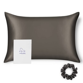 ALASKA BEAR 100% 19 Momme Mulberry Silk Pillowcase, 50x75 cm, Both Sides Silk, 600 Thread Count, Hypoallergenic Pillow Shams Cover for Skin Health with Hidden Zipper (1pc, Charcoal grey)