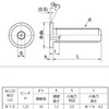 M10 (P=1.25) Stainless Steel Ultra Thin Low Head Cap Bolts
