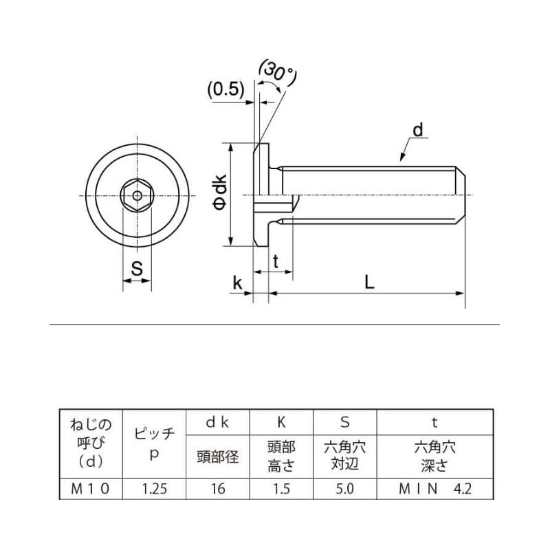 M10 (P=1.25) Stainless Steel Ultra Thin Low Head Cap Bolts