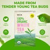 Fusion Select 100% Organic White Tea - Natural Herbal Infusion