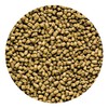 Hikari 042220 Carnivore Medium Sinking Pellets Marine Fish Food, One