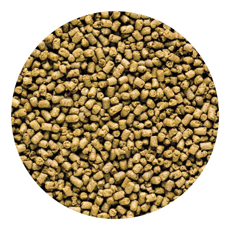 Hikari 042220 Carnivore Medium Sinking Pellets Marine Fish Food, One