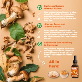 FUNGISIP Cordyceps & Lion’s Mane Tincture – Organic Mushroom Extract, Supports Energy & Focus, High Potency
