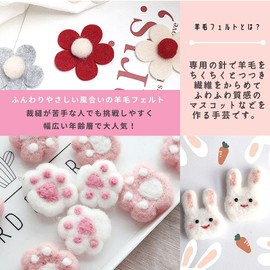 3world SW1757 Wool Felt Needle and Other Basic Tool Set, Beginner, Starter Kit (30 Pieces)