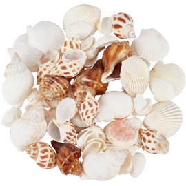 SOFPLATE Muschelschalen-Dekoration für Aquarium, natürlich, klein, bunt, Sommer, Schnecke, Spirale, Ozean, Strand, Tier, Handwerk, ohne Loch, Ornamente für Hochzeit, Zuhause, Party, Vasenfüller,