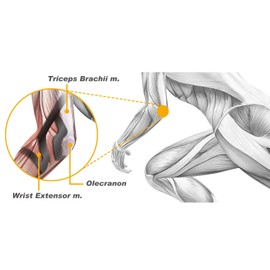 BODYVINE Unisex - Adult Triple Adjustable Elbow Compression Bandage with Power Band Compression Taping, Blue, S