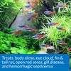API FIN & BODY CURE Freshwater Fish Powder Medication 10-Count