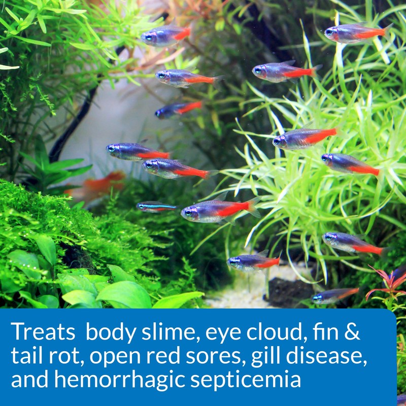 API FIN & BODY CURE Freshwater Fish Powder Medication 10-Count