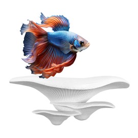 BlubberCove Large Mushroom Betta Hammock/For Amphibians Aquarium, Reptile Tank/Creating a Safe Space/Ornament Decoration for Cory, Frogs, Fish & More (White)