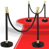 2 PCS Black Stanchions with Black Ropes - Crowd Control