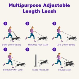 Jelly Pet Multi-Purpose European Style Leash l Made in America l Stronger Than Leather l Waterproof and Easy to Clean (3/8", Royal Blue)